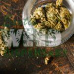 Marijuana facts