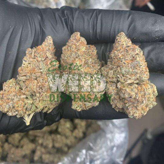 Runtz Strain
