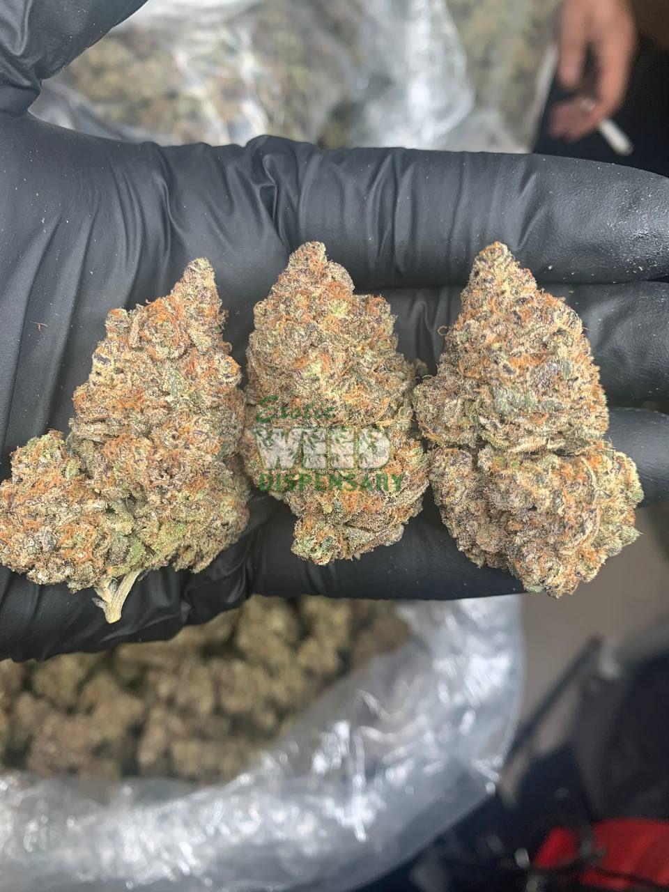 Runtz Strain