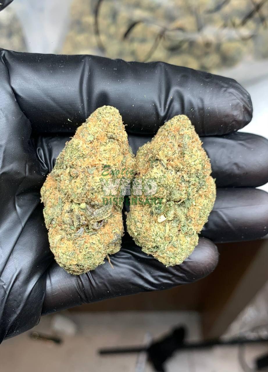 OG Kush Breath