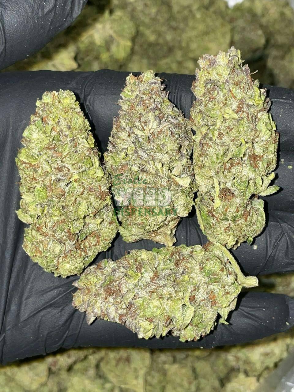 blue dream strain