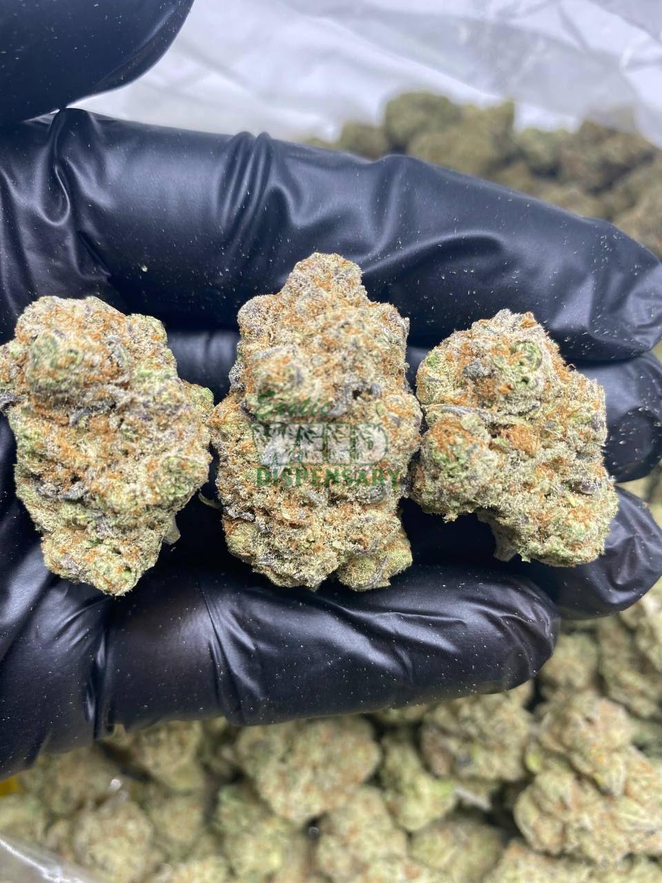 Hindu Kush strain