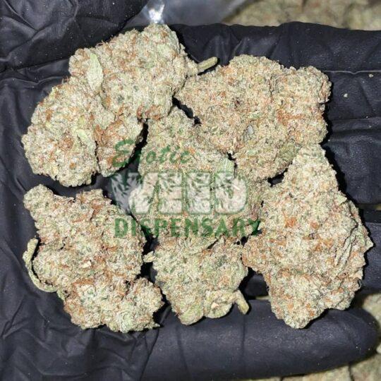 white widow strain