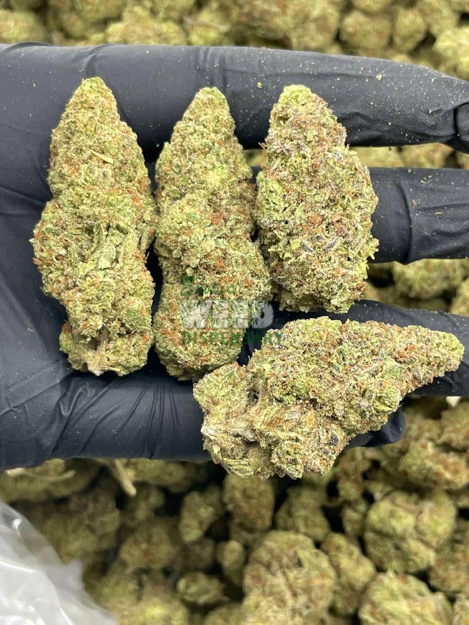 AK 47 Kush