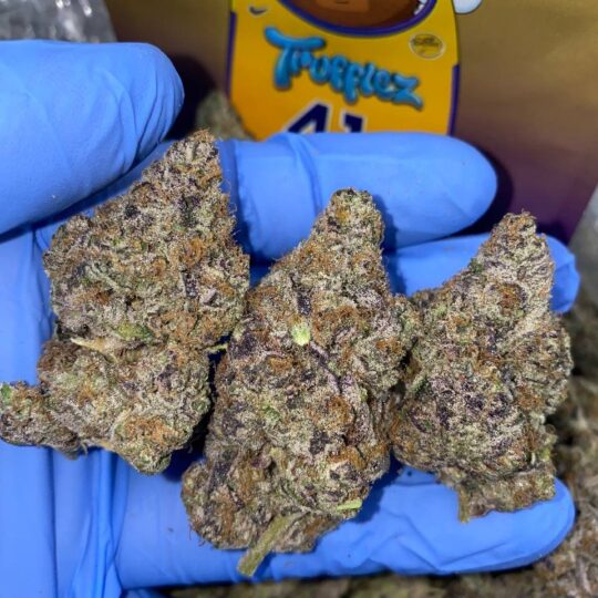Trufflez Strain