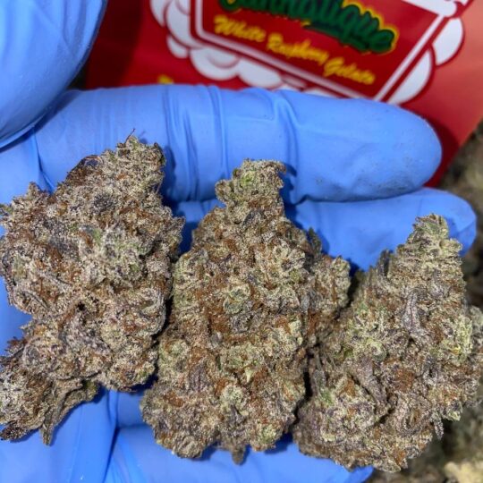 White Raspberry Strain
