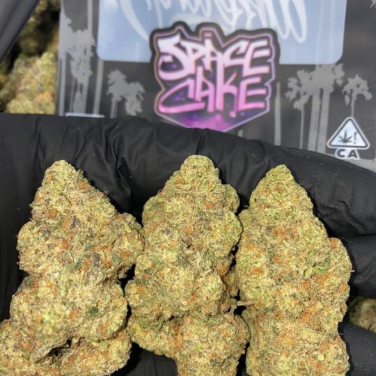 Space Cake strain