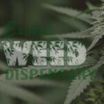 10 Best marijuana strain for Anxiety