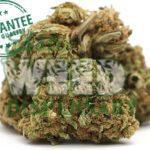 Does smoking weed cause Acne