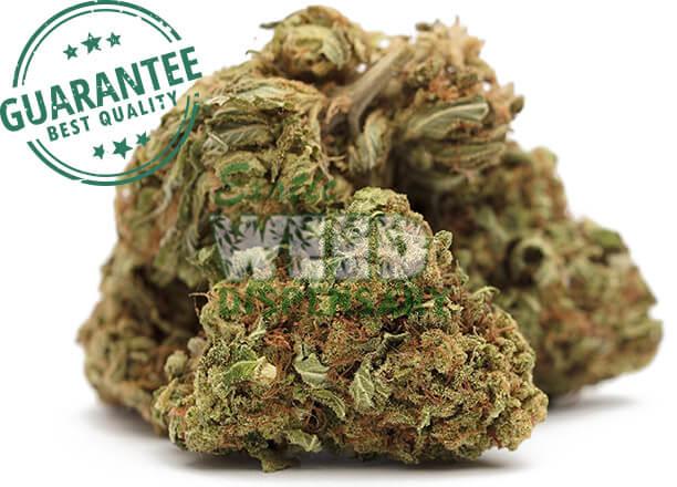 does smoking weed cause acne