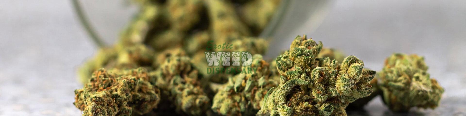 benefits of quitting weed