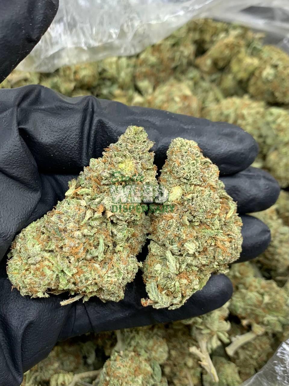 Juicy Jack