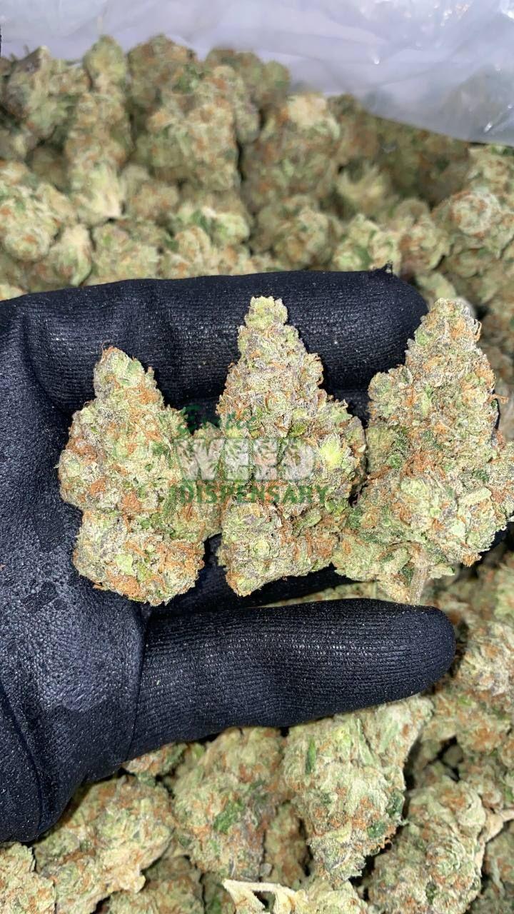 Kosher Kush