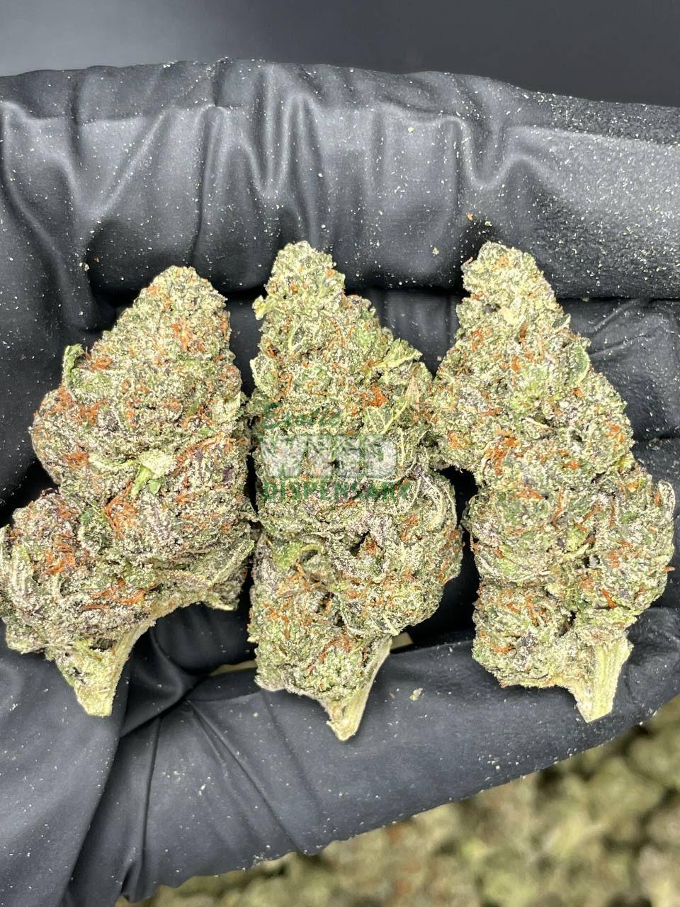 Master Kush Strain