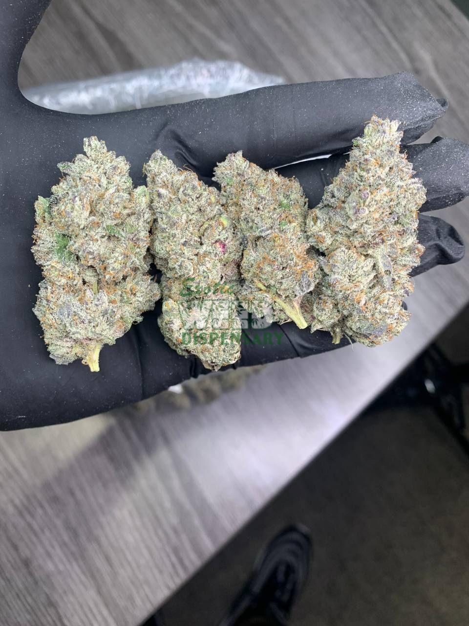 Northern Lights Strain Exotic Weed Dispensary Northern lights strain exotic weed dispensary
