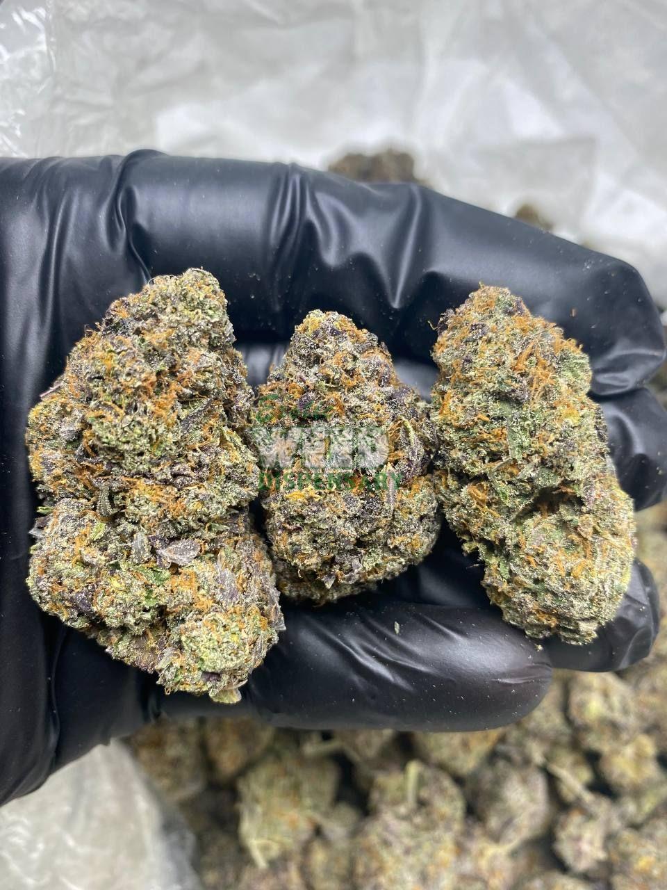 Strawberry Shortcake Strain