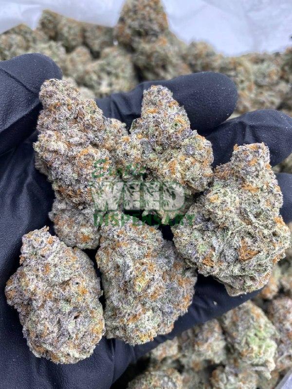 ZaZa weed strain