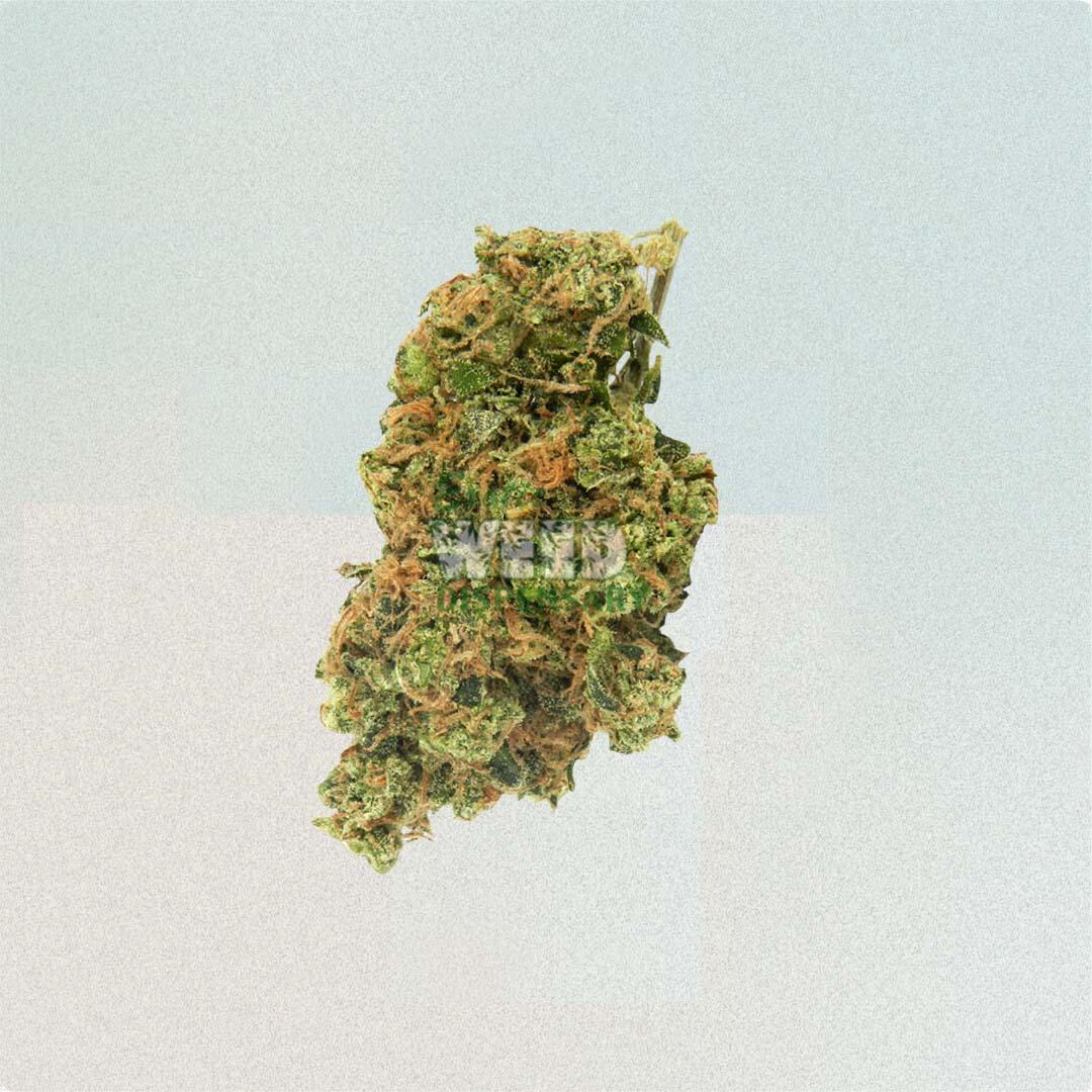 indica strains