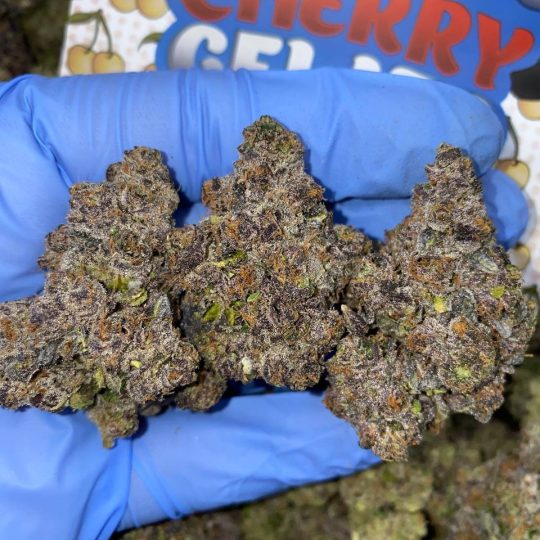 White Cherry Gelato Strain