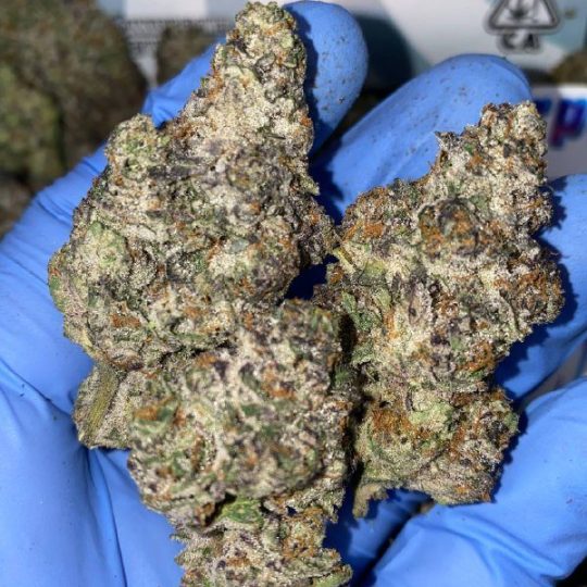 Exotic White Bubblegum Strain