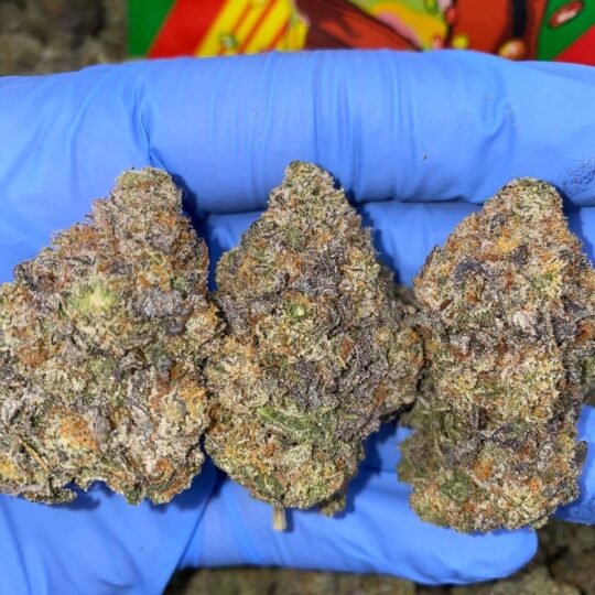Zerbert Strain