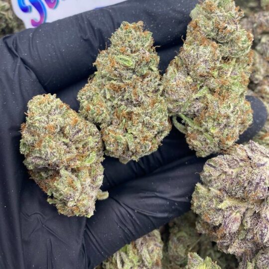 Sour Zkittles strain