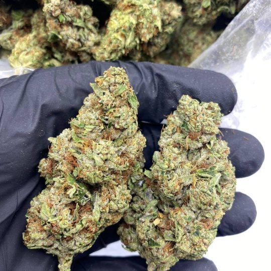 Rolex OG Strain