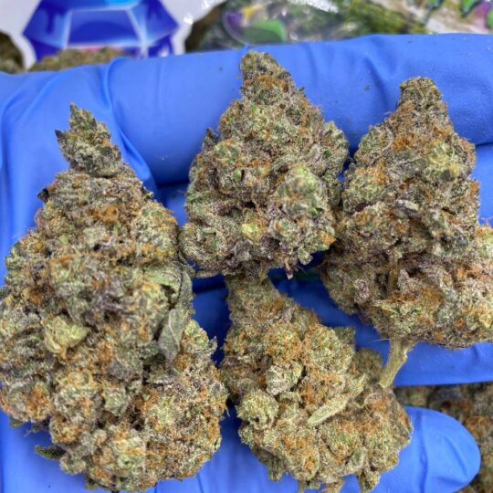 Apple Fritter Strain