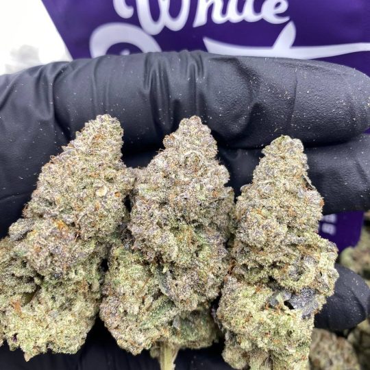 White Runtz Strain