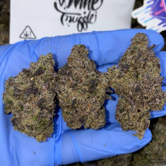 White Truffle Strain