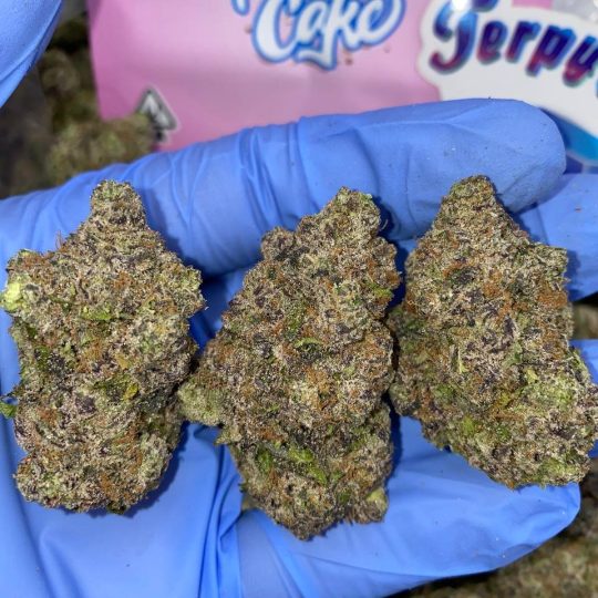 Truffle Cake Strain