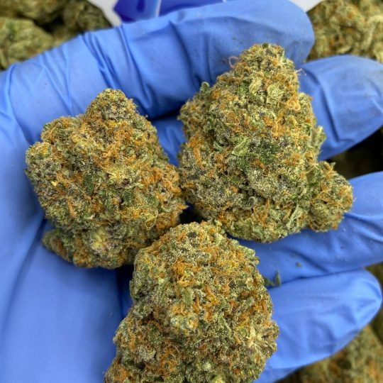 London pound cake strain 75